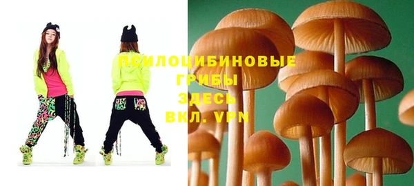 Альфа ПВП Бородино