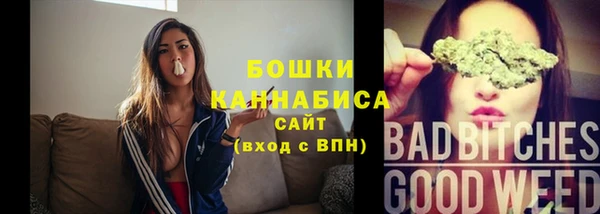 Альфа ПВП Бородино