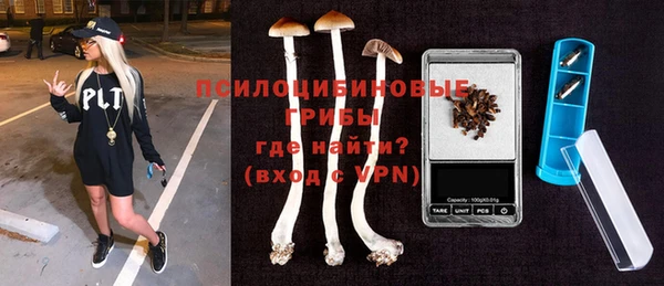 Альфа ПВП Бородино